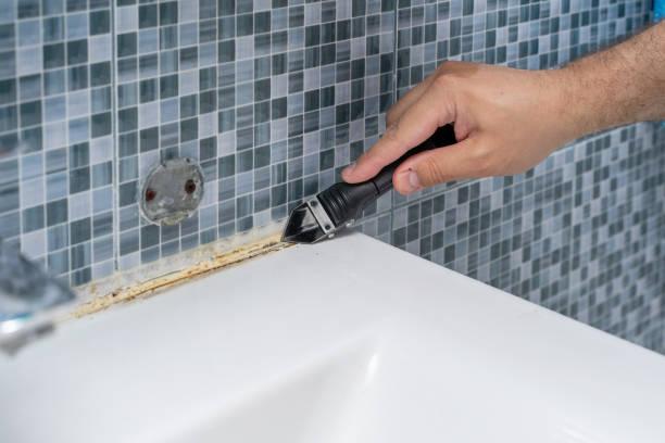 Best Fast Mold Removal  in Turners Falls, MA